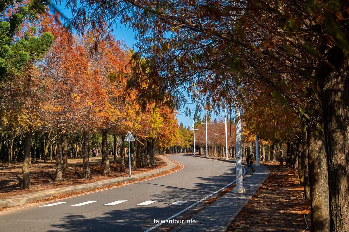 【麗寶落羽松大道】台中后里拍照攻略.交通 【麗寶落羽松大道】台中后里拍照攻略.交通