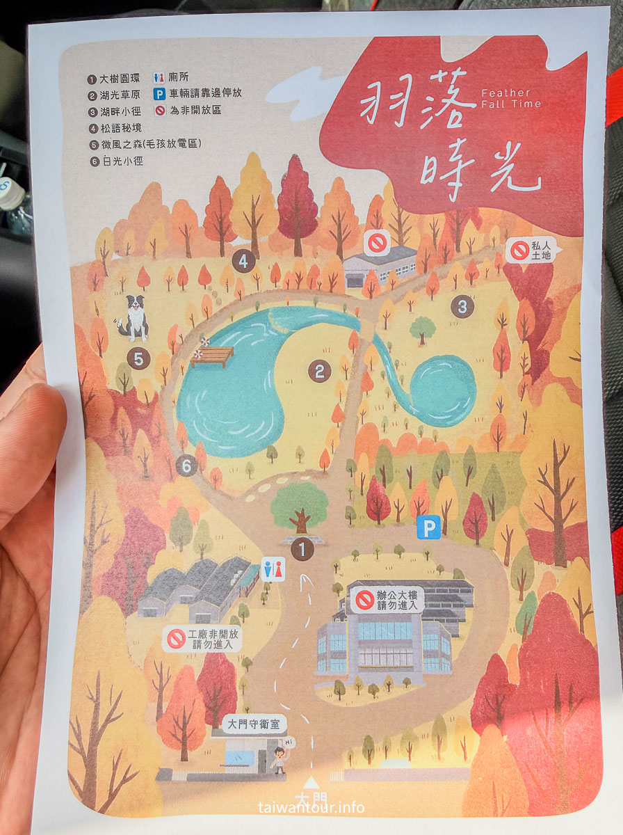 【欣美創意園區】南投名間落羽松推薦.親子銀髮族景點