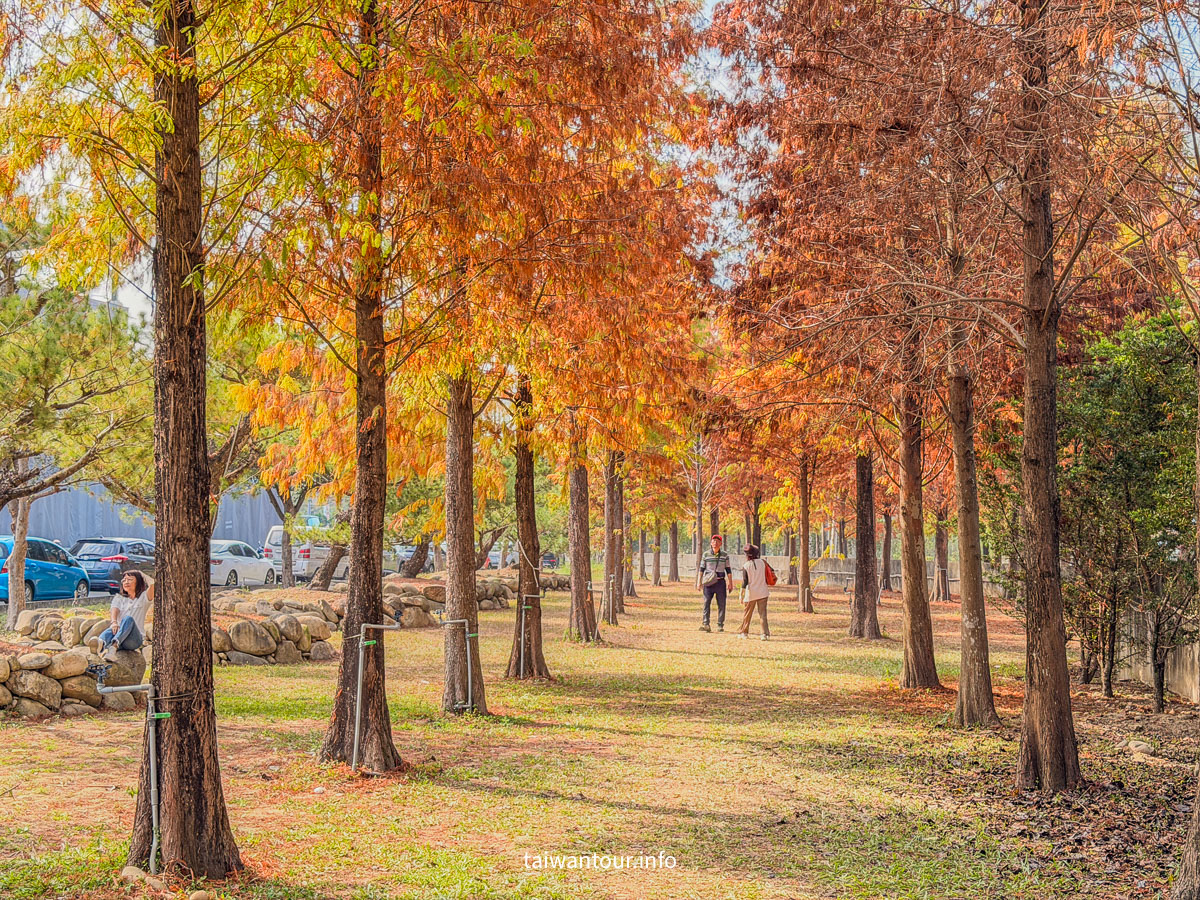 【欣美創意園區】南投名間落羽松推薦.親子銀髮族景點