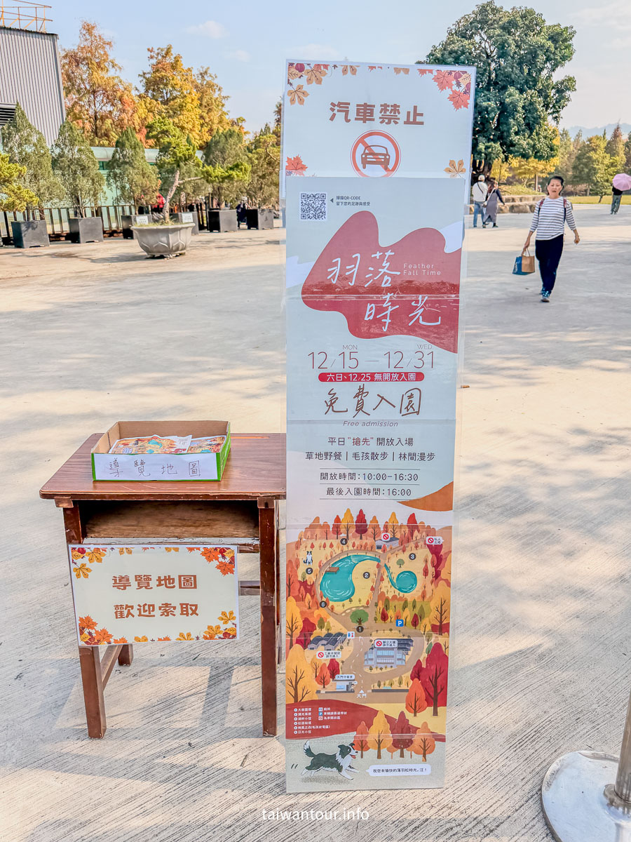 【欣美創意園區】南投名間落羽松推薦.親子銀髮族景點
