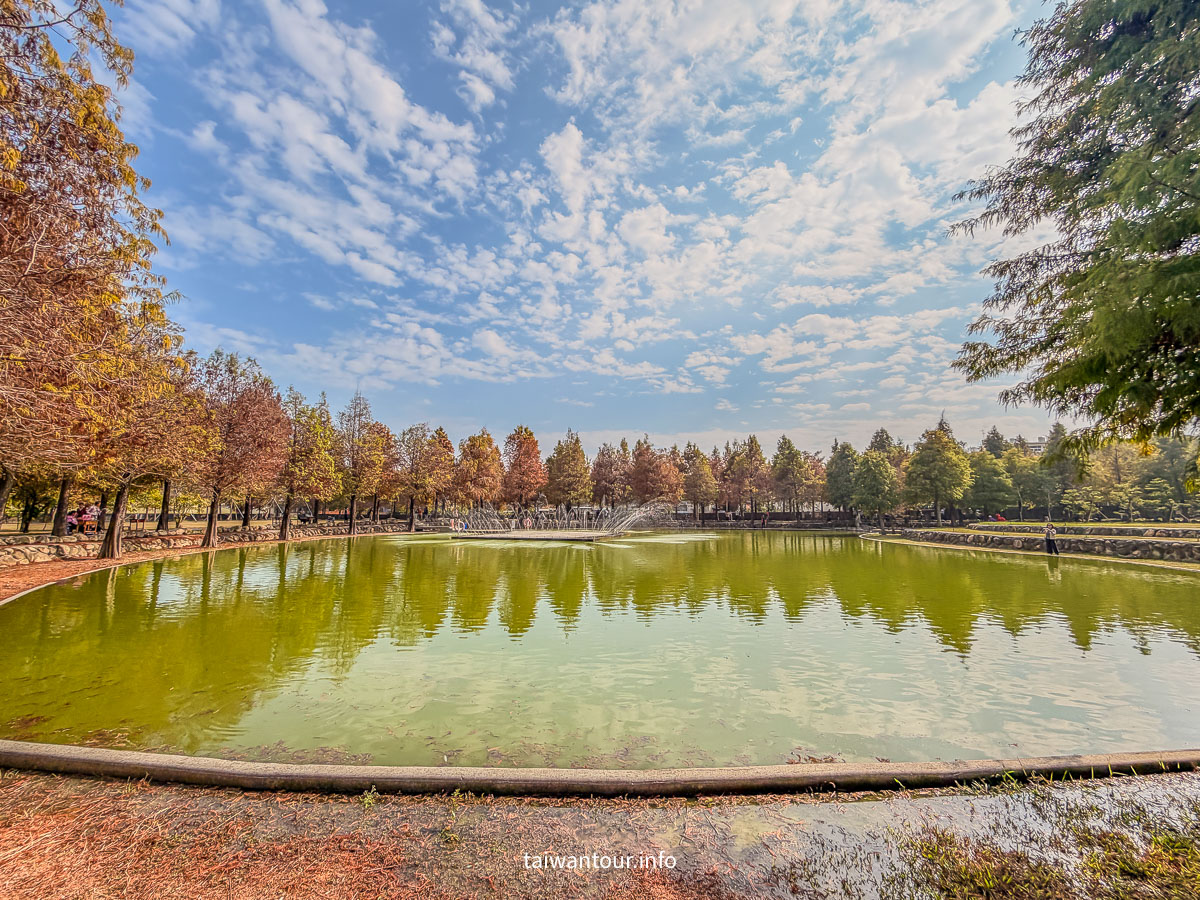 【欣美創意園區】南投名間落羽松推薦.親子銀髮族景點