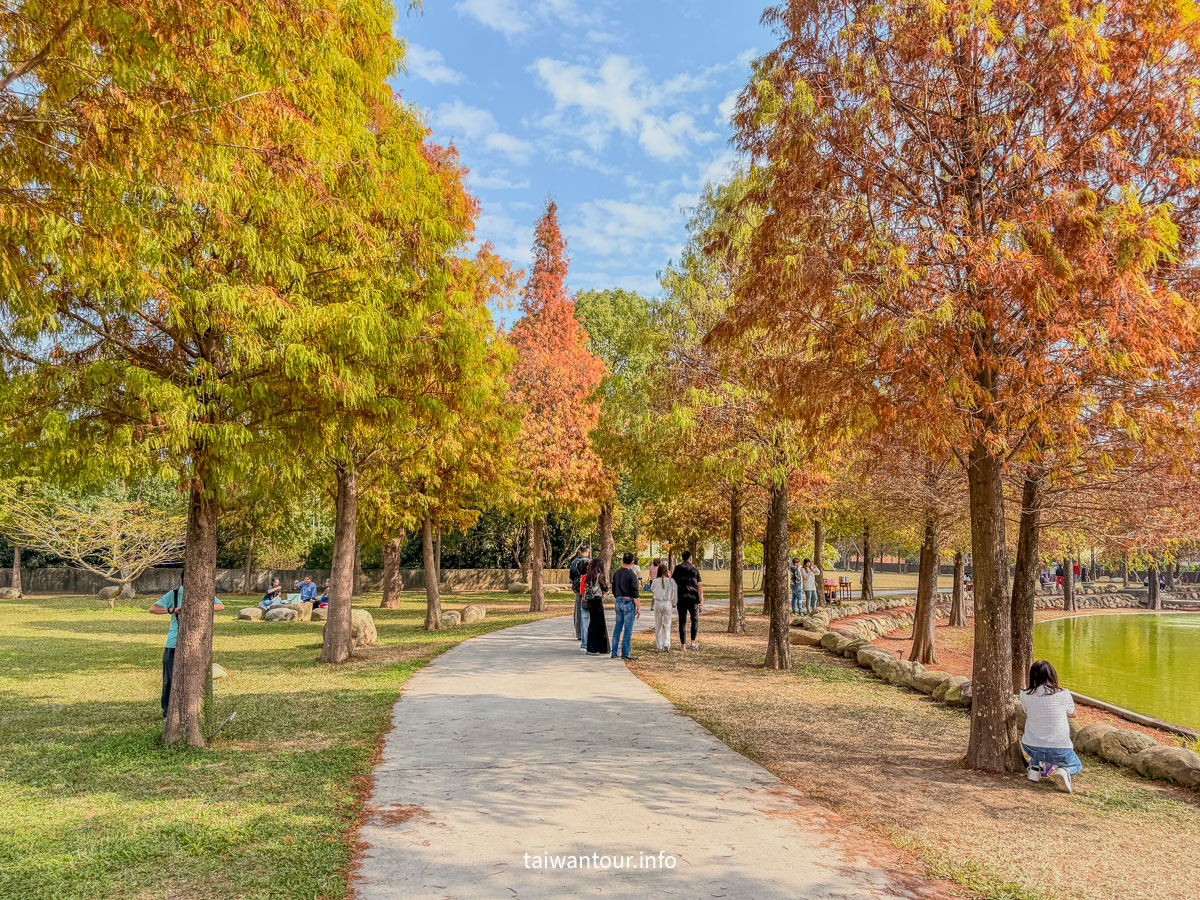 【欣美創意園區】南投名間落羽松推薦.親子銀髮族景點
