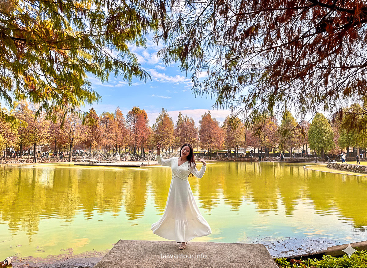 【欣美創意園區】南投名間落羽松推薦.親子銀髮族景點