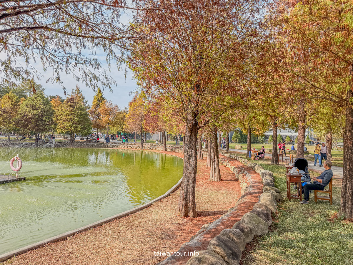 【欣美創意園區】南投名間落羽松推薦.親子銀髮族景點