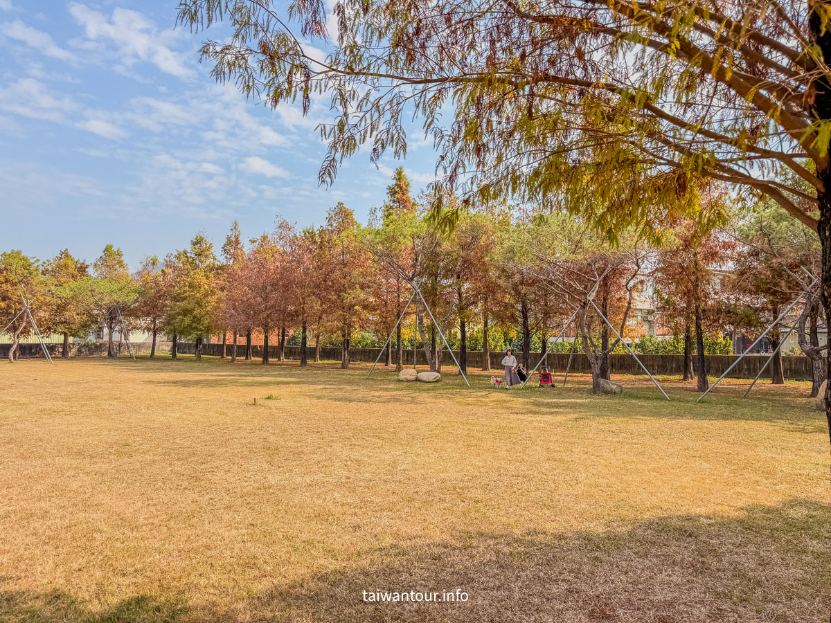 【欣美創意園區】南投名間落羽松推薦.親子銀髮族景點