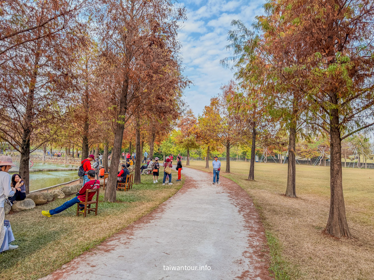 【欣美創意園區】南投名間落羽松推薦.親子銀髮族景點