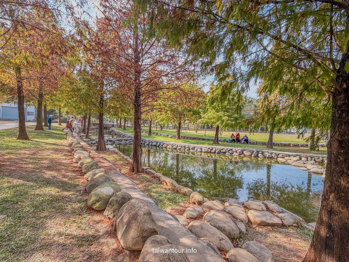 【欣美創意園區】南投名間落羽松推薦.親子銀髮族景點