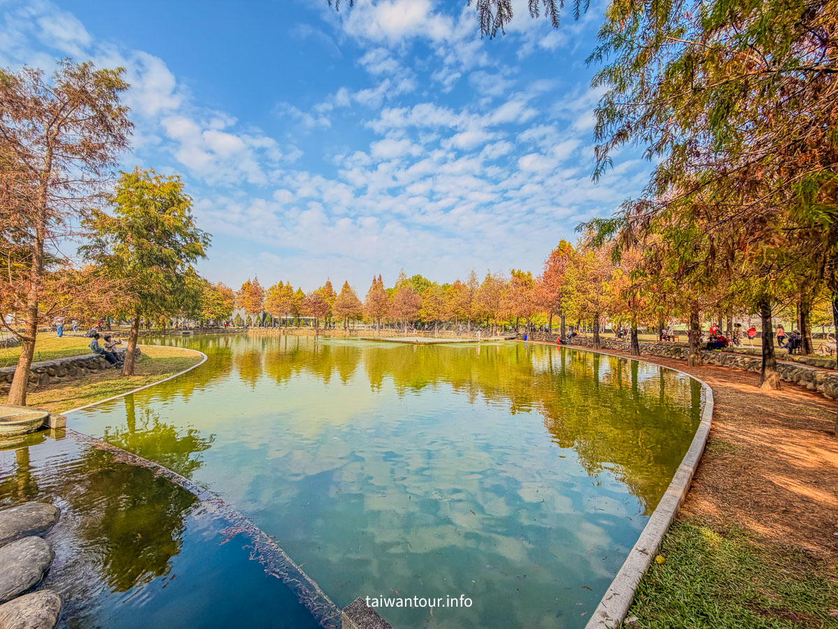【欣美創意園區】南投名間落羽松推薦.親子銀髮族景點