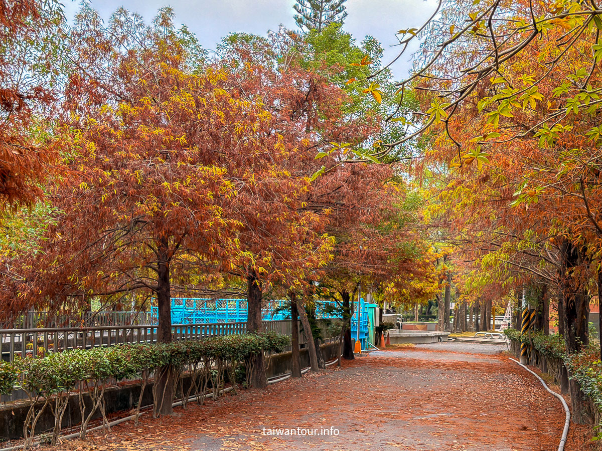 【農田水利會文物陳列館園區】雲林林內秘境落羽松景點推薦
