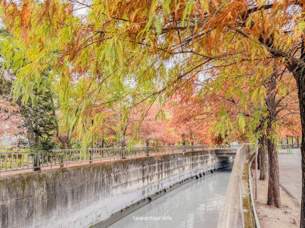 【農田水利會文物陳列館園區】雲林林內秘境落羽松景點推薦