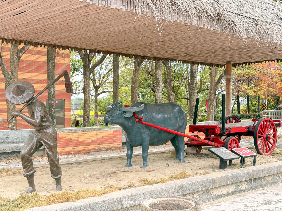 【農田水利會文物陳列館園區】雲林林內秘境落羽松景點推薦
