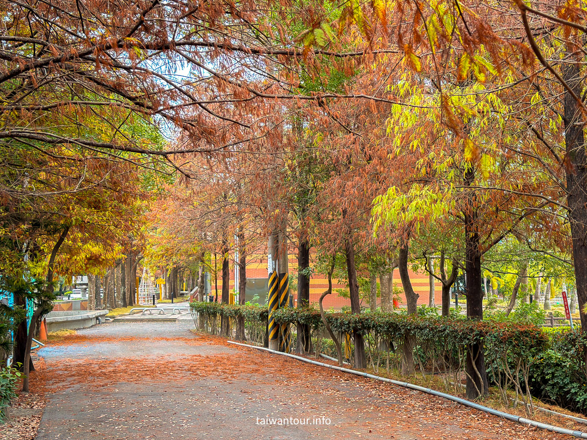 【農田水利會文物陳列館園區】雲林林內秘境落羽松景點推薦