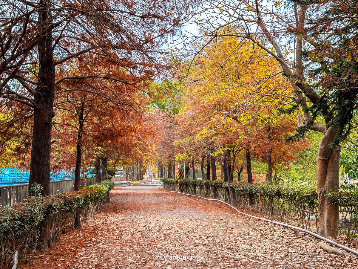 【農田水利會文物陳列館園區】雲林林內秘境落羽松景點推薦
