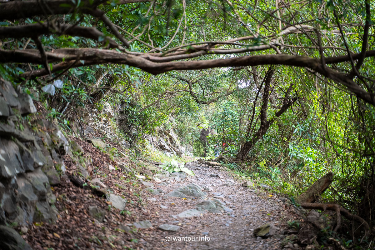 【跑馬古道】宜蘭礁溪親子銀髮步道.百萬景觀秘境