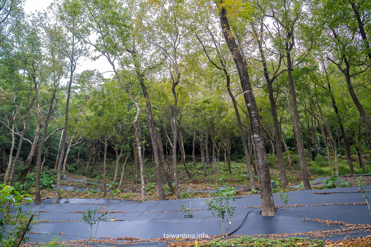 【跑馬古道】宜蘭礁溪親子銀髮步道.百萬景觀秘境