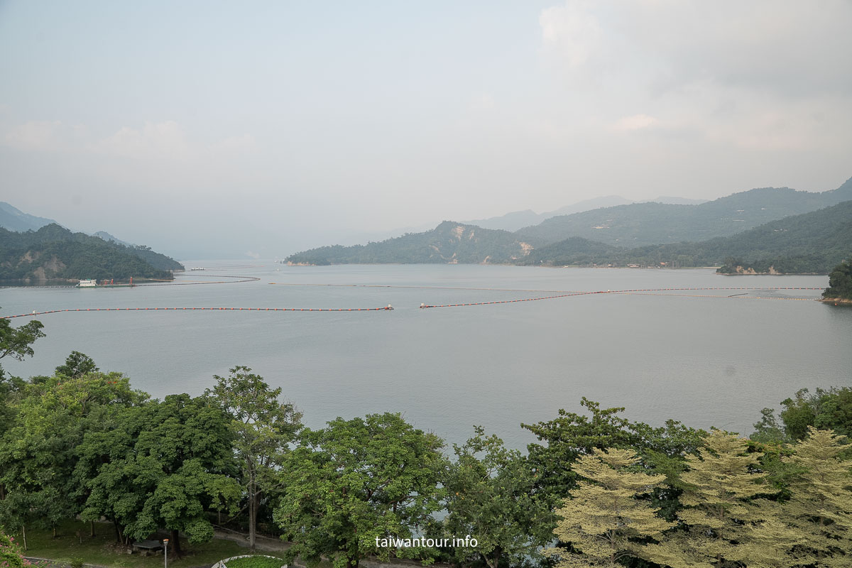 【2026曾文水庫觀景樓＆山豬島】台南楠西一日遊！搭豪華遊艇餵山豬、看老鷹秘境與門票交通全攻略