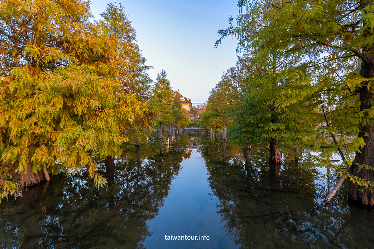 【蘭庭甜點舖】苗栗落羽松秘境.歐風建築.高CP值芋頭甜點