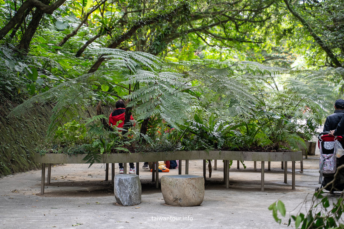 【劉銘傳隧道】基隆百年鐵道.蝙蝠故鄉.IG網美照