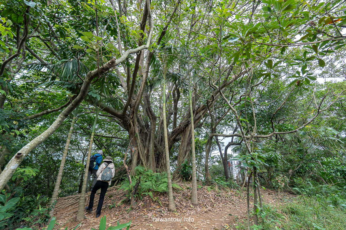 【獅球嶺步道】基隆親子步道.劉銘傳隧道.百年砲台..黑山老妖.吳哥窟 【獅球嶺步道】基隆親子步道.劉銘傳隧道.百年砲台..黑山老妖.吳哥窟