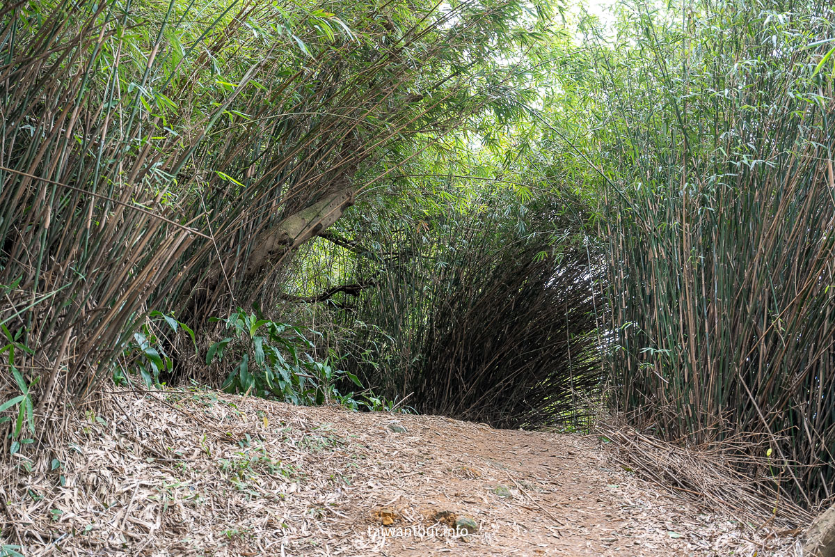 【獅球嶺步道】基隆親子步道.劉銘傳隧道.百年砲台..黑山老妖.吳哥窟