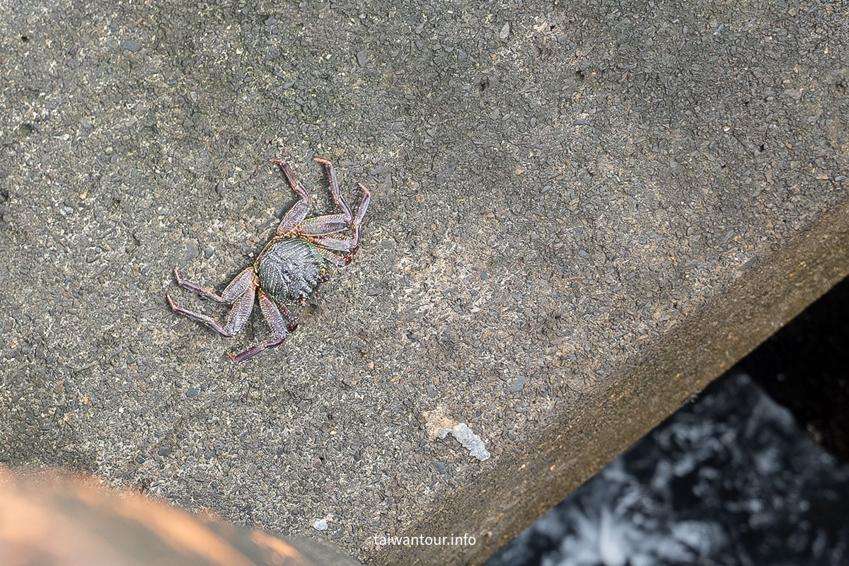【宜蘭烏石港藍色走廊】頭城龜山朝日.日出秘境網美必拍