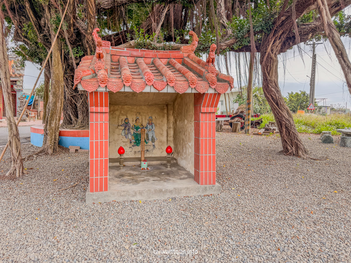 【魚寮落羽松】嘉義太保網美秘境.親子景點