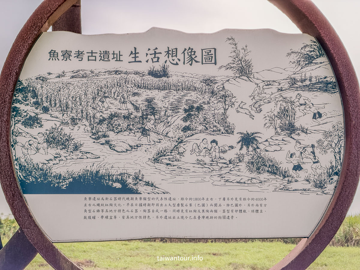 【魚寮落羽松】嘉義太保網美秘境.親子景點