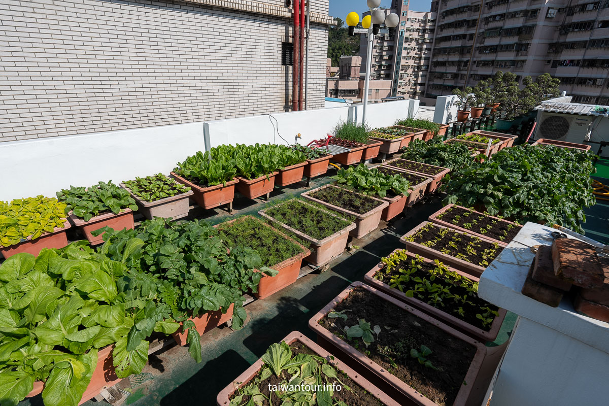 【SES賽思能源】聚寶盆太陽能投射燈開箱｜IP67 防水、1500W 等效亮度，戶外照明實測