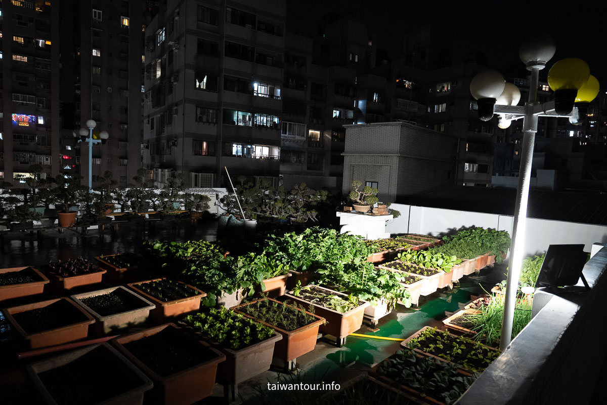 【SES賽思能源】聚寶盆太陽能投射燈開箱｜IP67 防水、1500W 等效亮度，戶外照明實測