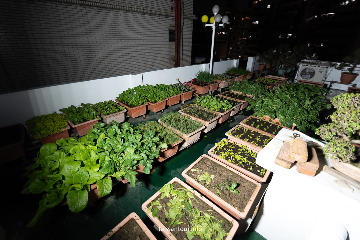 【SES賽思能源】聚寶盆太陽能投射燈開箱｜IP67 防水、1500W 等效亮度，戶外照明實測