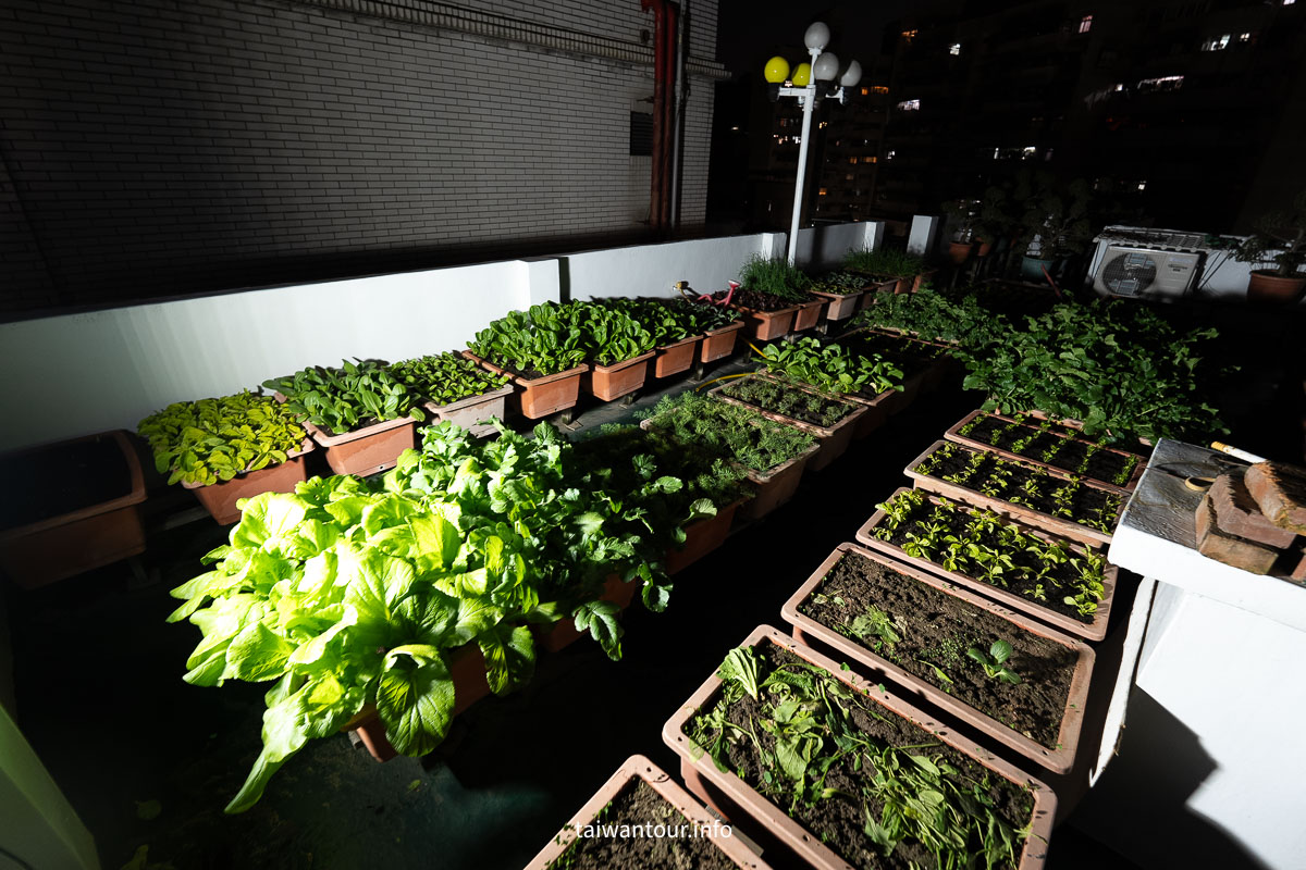 【SES賽思能源】聚寶盆太陽能投射燈開箱｜IP67 防水、1500W 等效亮度，戶外照明實測