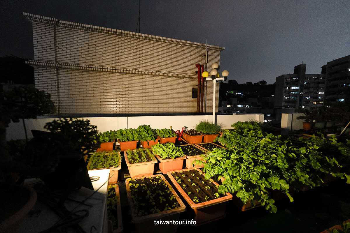 【SES賽思能源】聚寶盆太陽能投射燈開箱｜IP67 防水、1500W 等效亮度，戶外照明實測