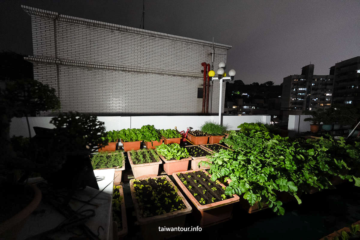 【SES賽思能源】聚寶盆太陽能投射燈開箱｜IP67 防水、1500W 等效亮度，戶外照明實測