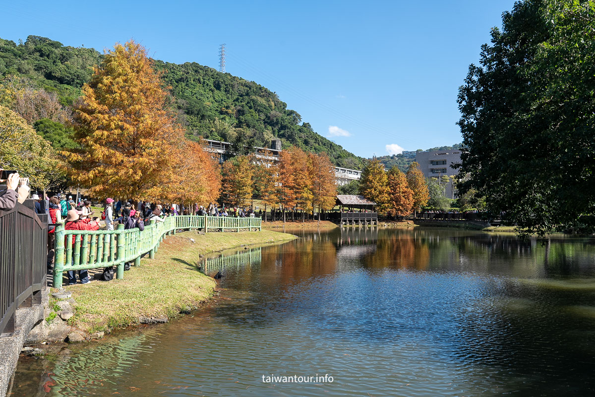 【原住民文化主題公園】台北雲山水IG落羽松秘境景點.交通