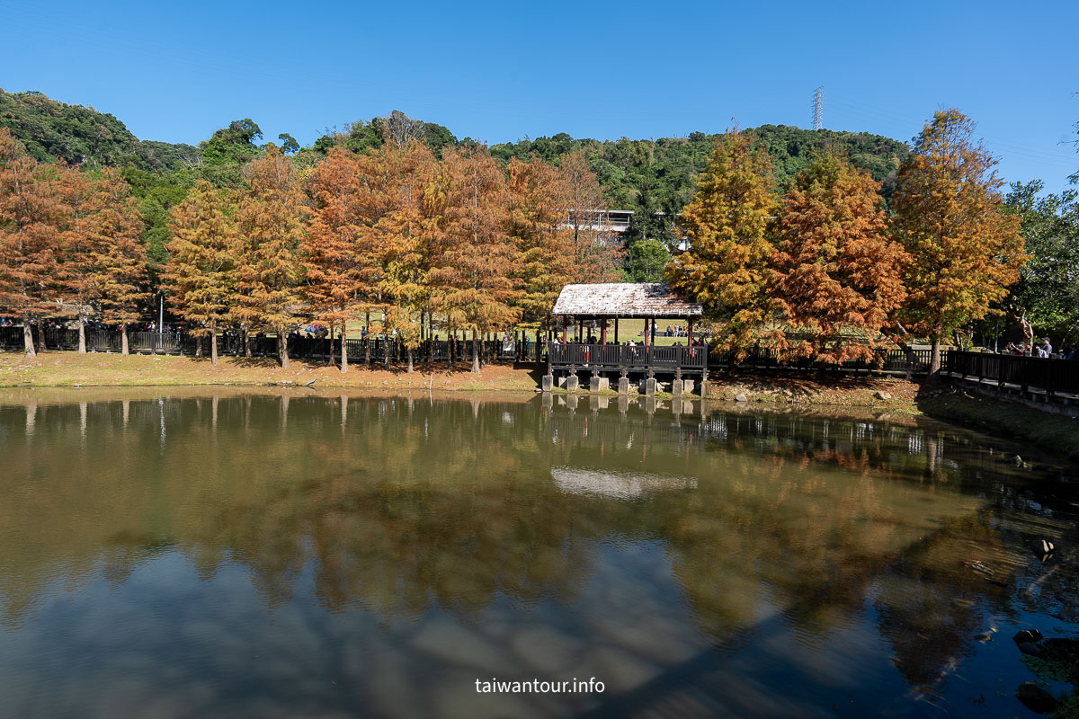 【原住民文化主題公園】台北雲山水IG落羽松秘境景點.交通