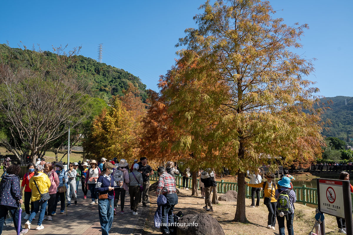 【原住民文化主題公園】台北雲山水IG落羽松秘境景點.交通