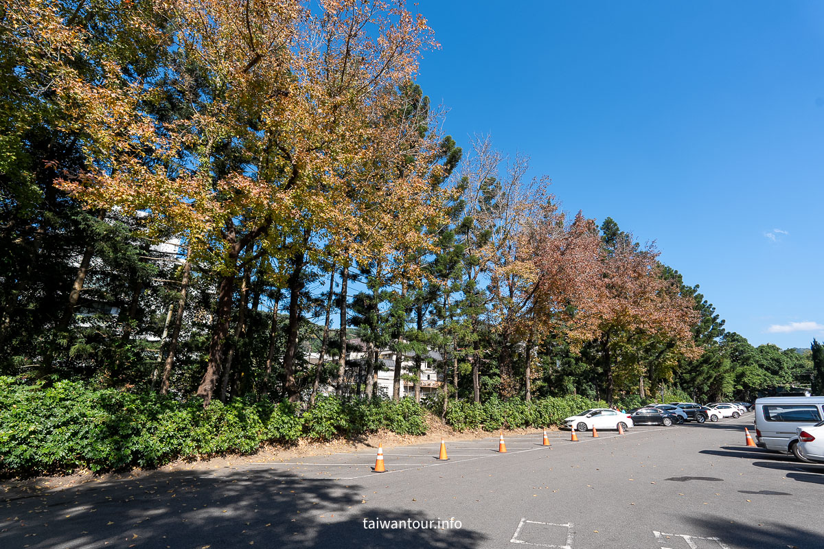 【青青食尚花園】台北落羽松秘境.士林夢幻婚宴x下午茶完整攻略