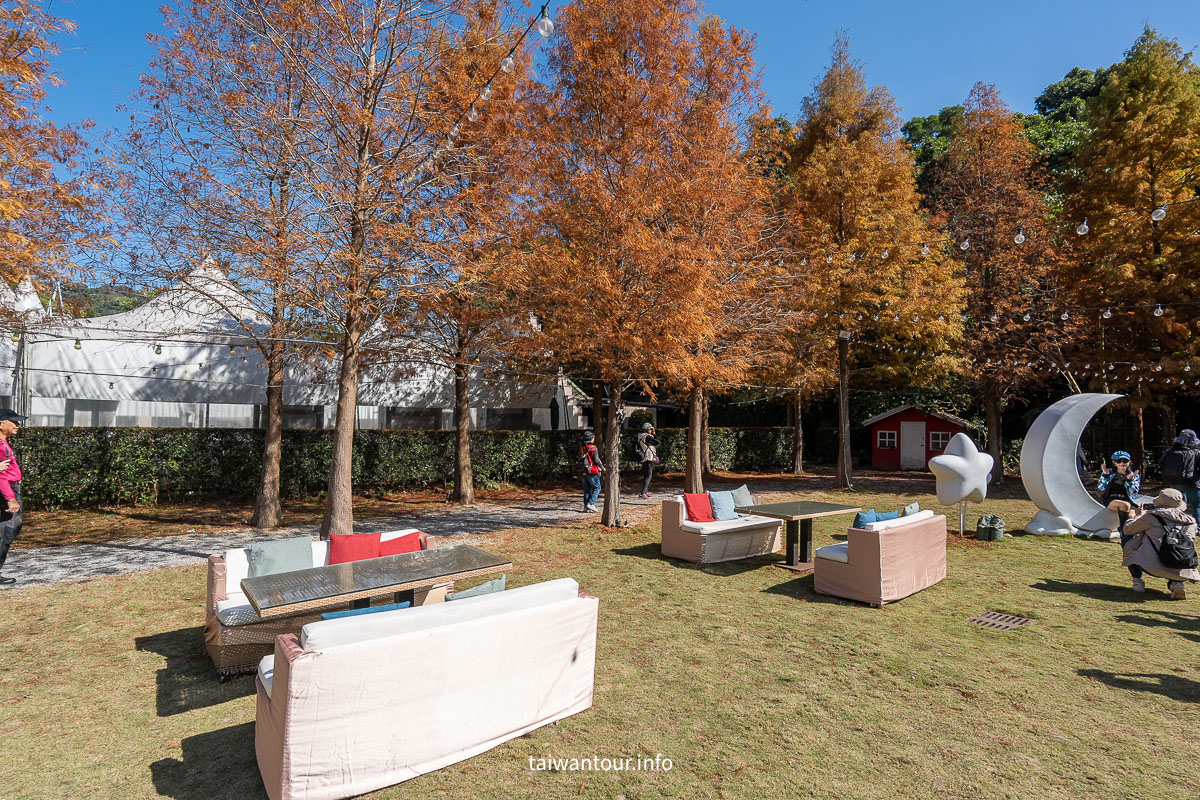 【青青食尚花園】台北落羽松秘境.士林夢幻婚宴x下午茶完整攻略