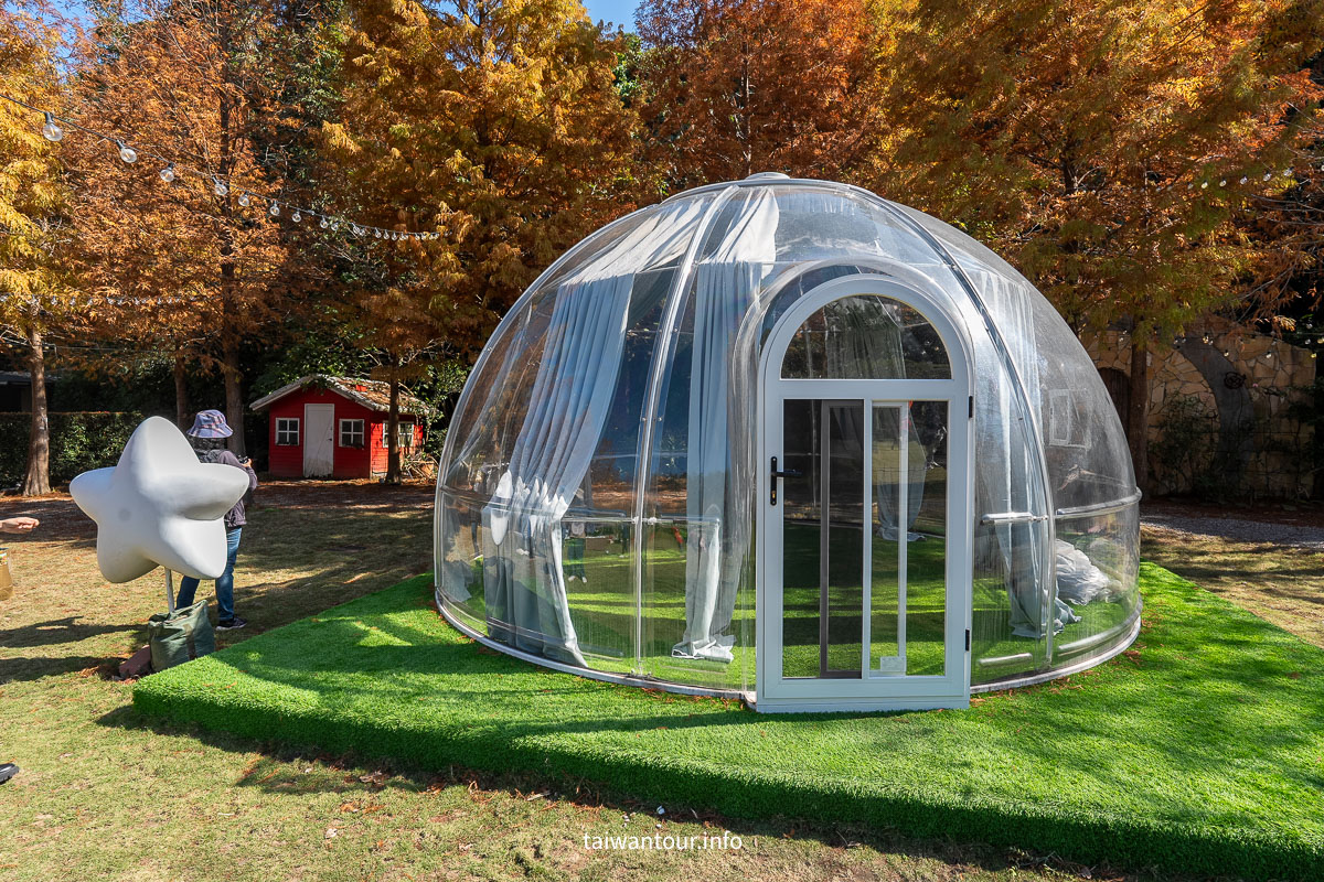 【青青食尚花園】台北落羽松秘境.士林夢幻婚宴x下午茶完整攻略