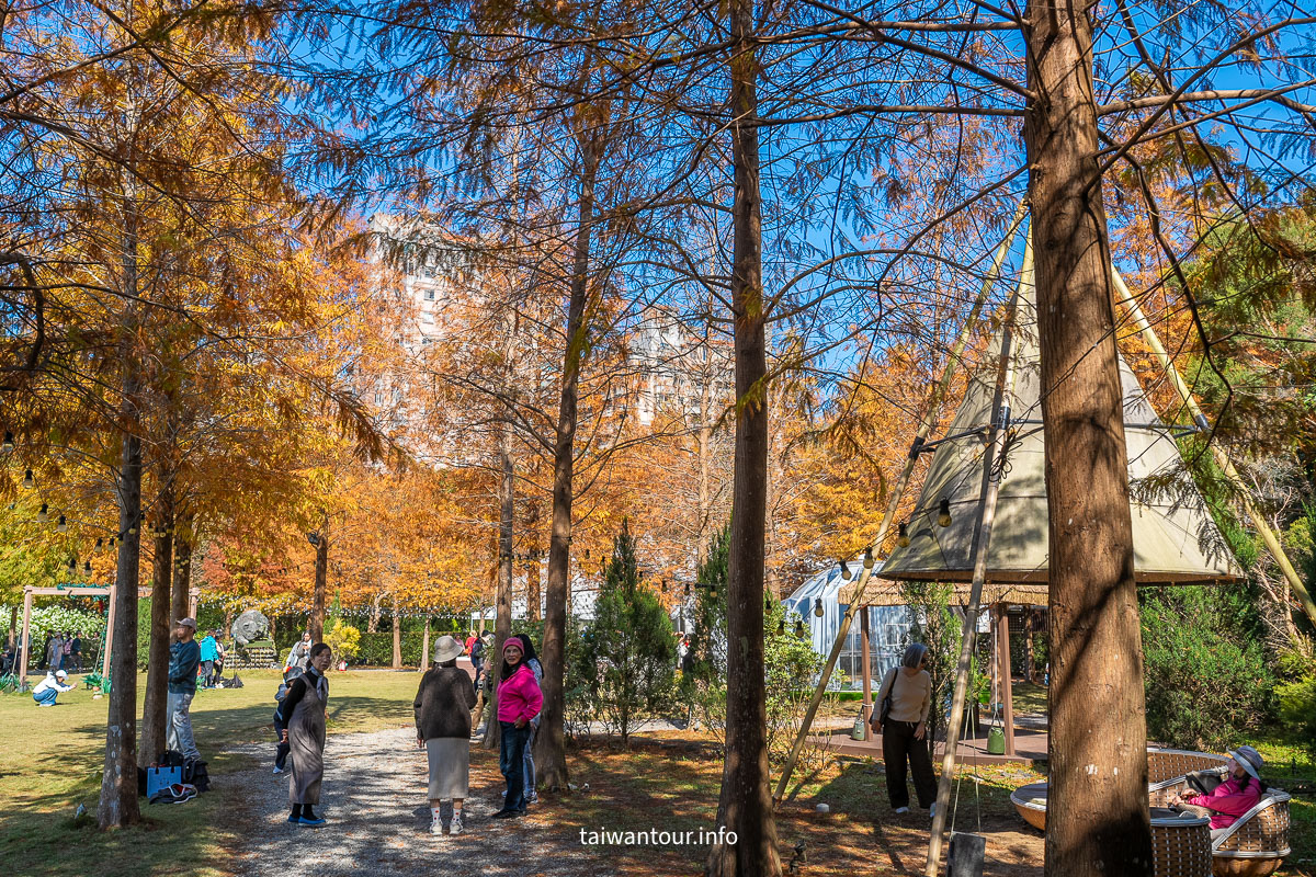 【青青食尚花園】台北落羽松秘境.士林夢幻婚宴x下午茶完整攻略