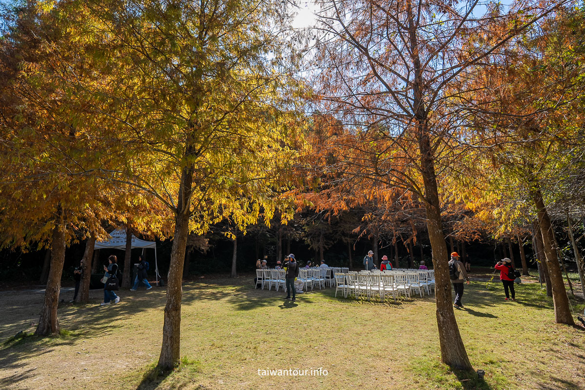 【青青食尚花園】台北落羽松秘境.士林夢幻婚宴x下午茶完整攻略