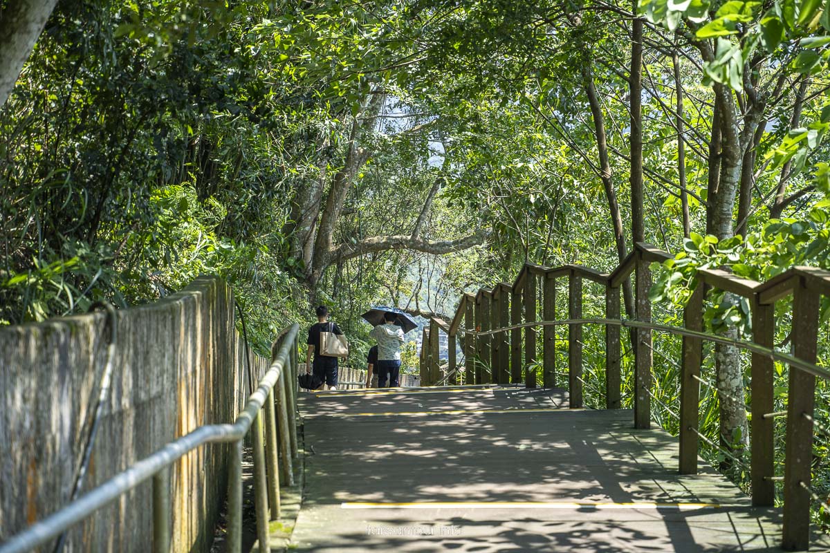 【角板山行館】桃園復興鄉梅花景點推薦.交通花況一日遊