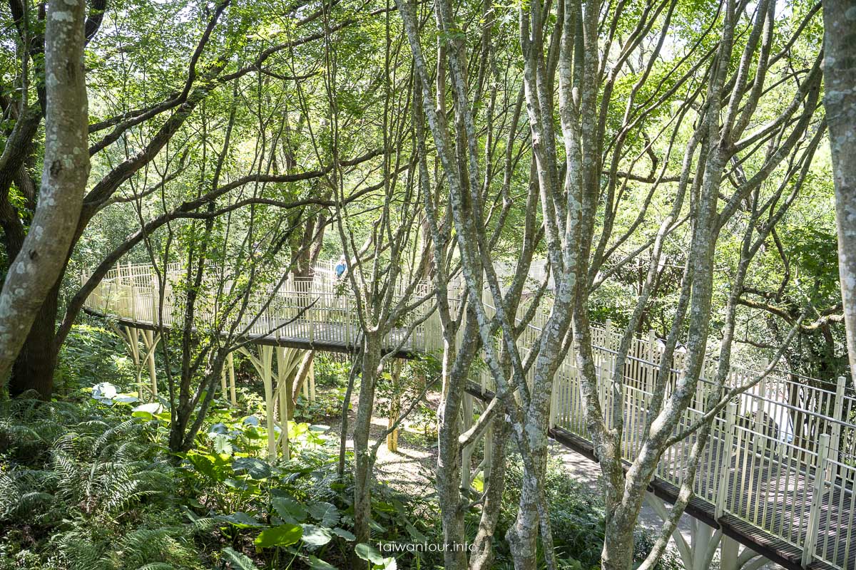 【角板山行館】桃園復興鄉梅花景點推薦.交通花況一日遊
