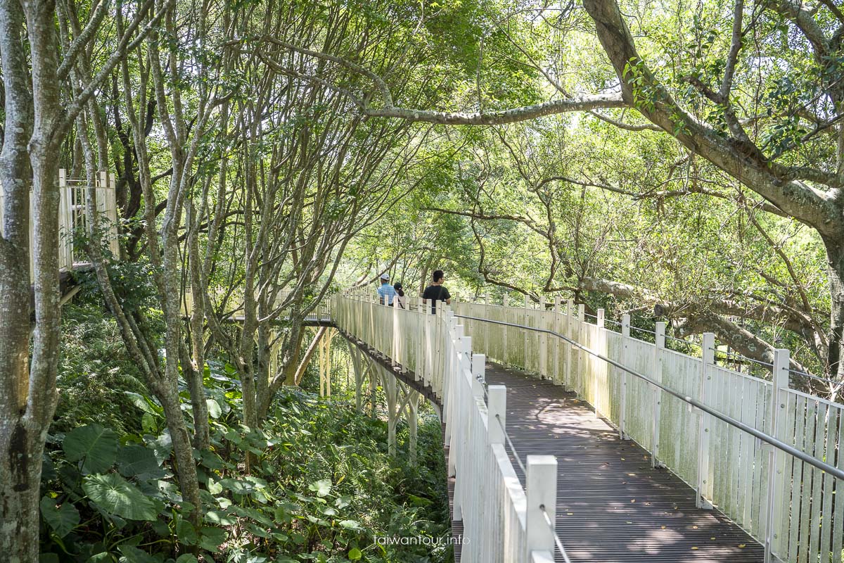 【角板山行館】桃園復興鄉梅花景點推薦.交通花況一日遊