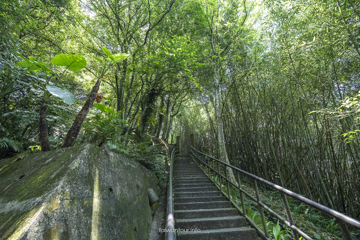 【角板山行館】桃園復興鄉梅花景點推薦.交通花況一日遊