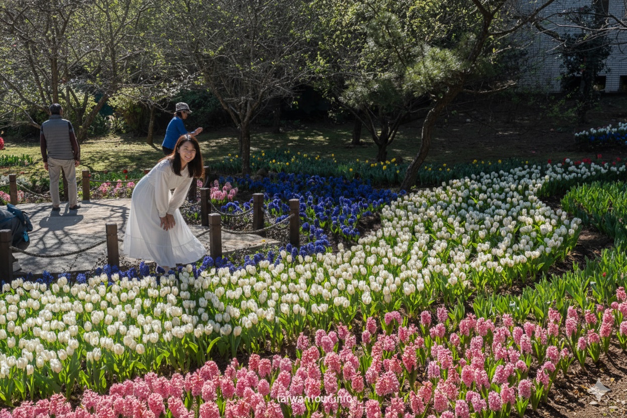 【陽明山花卉試驗中心】陽明山士林上花景點推薦.鬱金香.梅花
