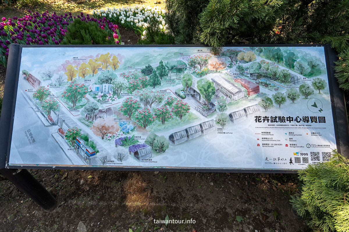 【陽明山花卉試驗中心】陽明山士林上花景點推薦.鬱金香.梅花