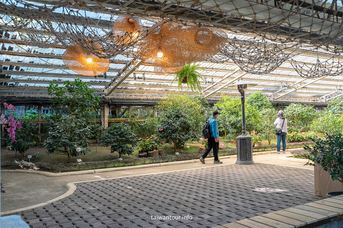 【陽明山花卉試驗中心】陽明山士林上花景點推薦.鬱金香.梅花