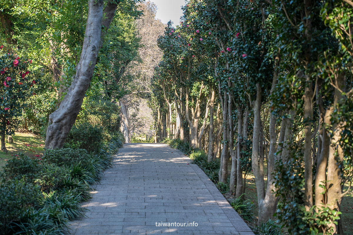 【陽明山花卉試驗中心】陽明山士林上花景點推薦.鬱金香.梅花
