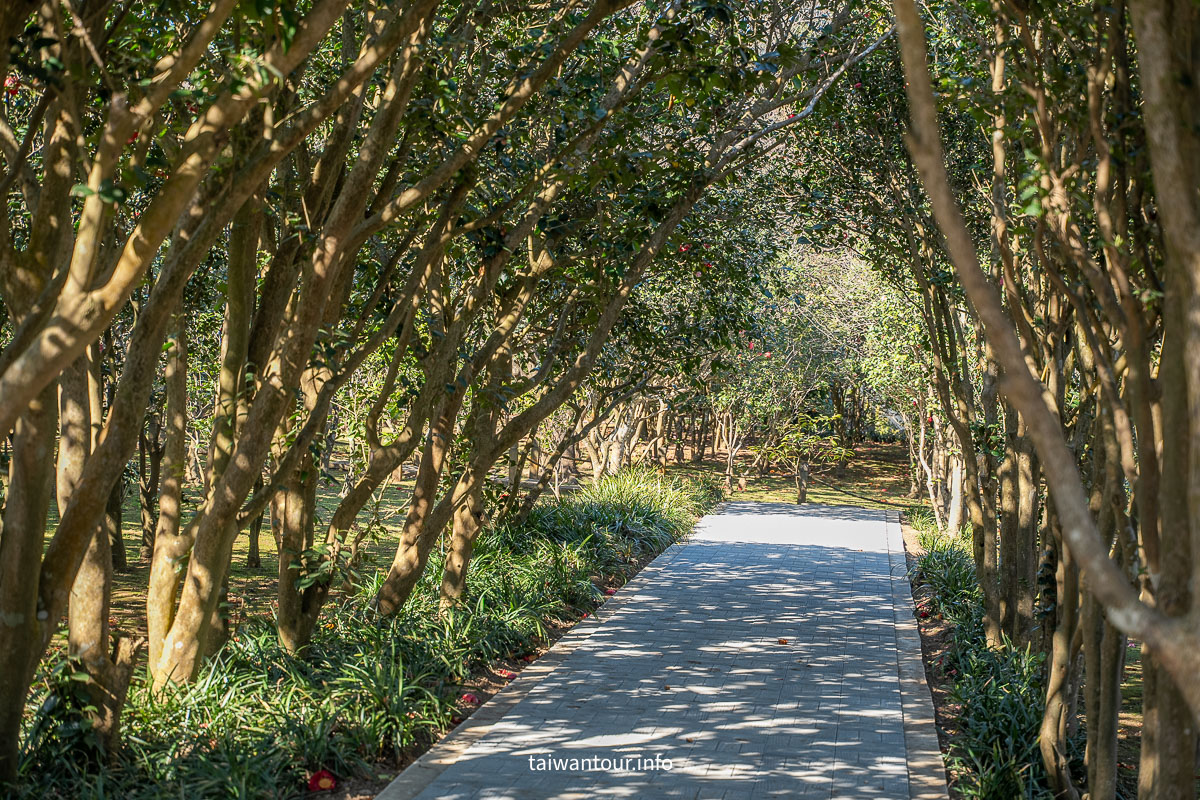 【陽明山花卉試驗中心】陽明山士林上花景點推薦.鬱金香.梅花